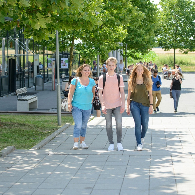Die dualen Hochschulen Die dualen Hochschulen